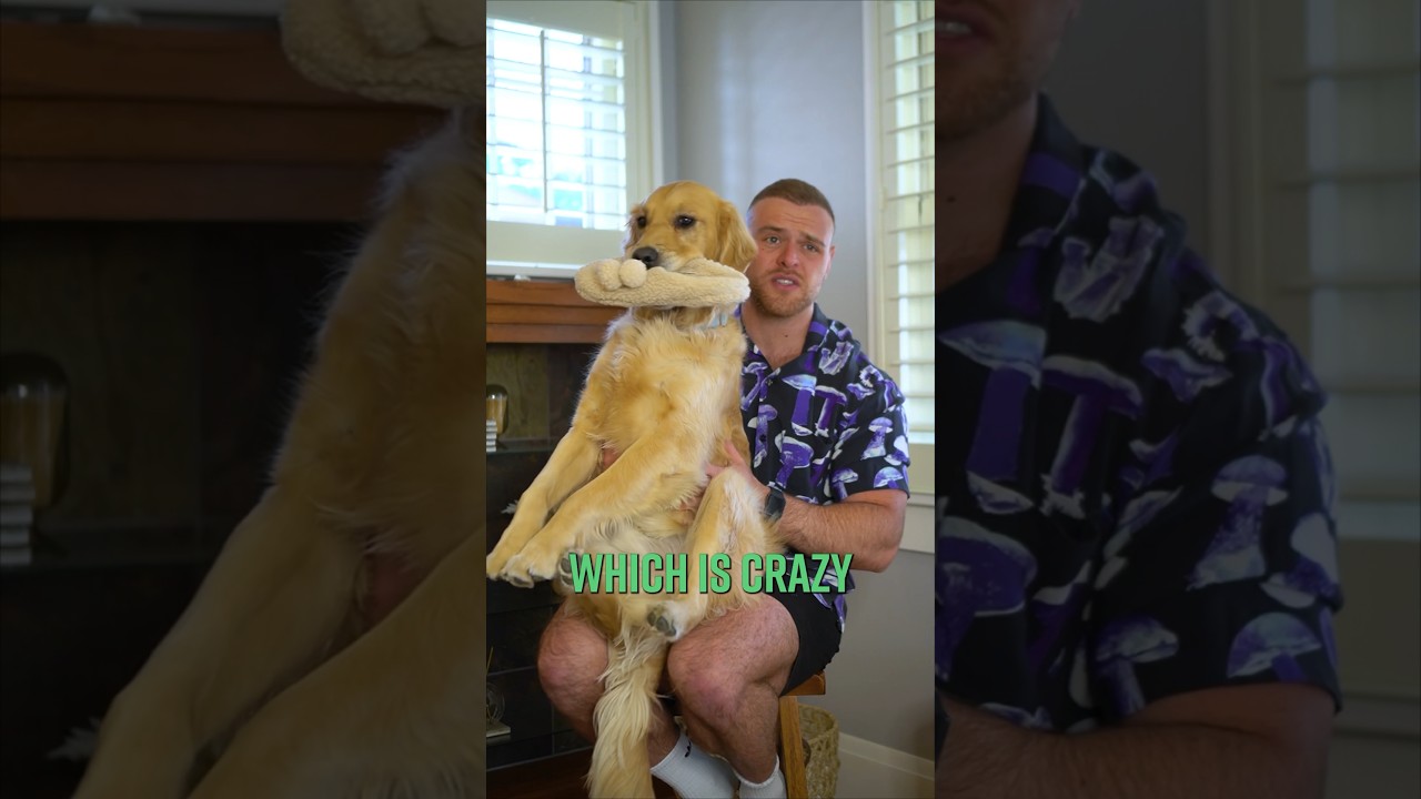 Should you become vegan?