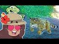 Birth of Royal JAGUAR Cubs!! 🦙 Jungle Expedition! • #5