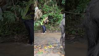 Scary Incident In The Forest