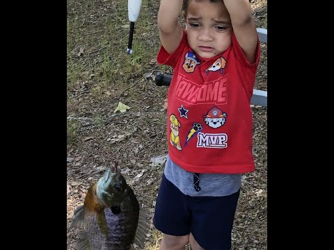 My Grandson's New Fishing Pole