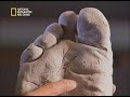 سلسلة حقيقة ام زيف ذو القدم الكبيرة وثائقي
