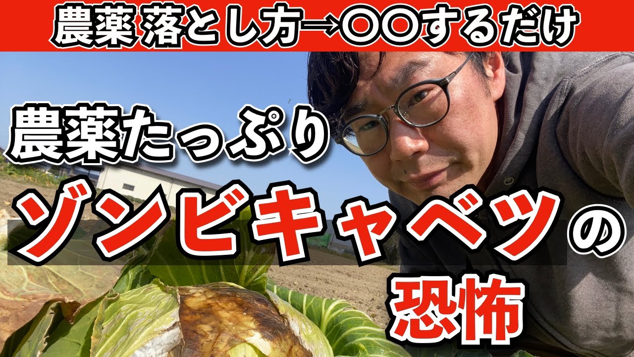 農薬 落とし方→〇〇】農薬たっぷりゾンビキャベツの恐怖 - YouTube
