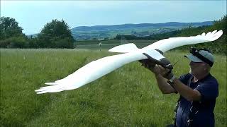 3D printed Eagle (Planeprint): Slope Soaring