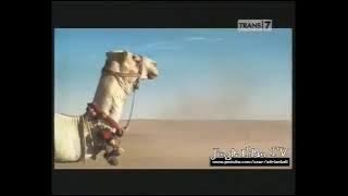 Download lagu Iklan Djarum 76 Versi Kontes Jin