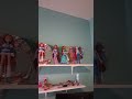 I move my winx doll collection
