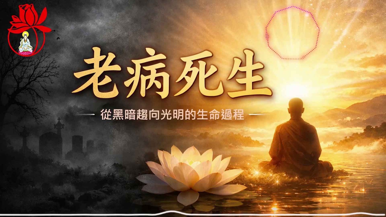 《老病死生》｜把生死順序換一下，人生就不一樣了