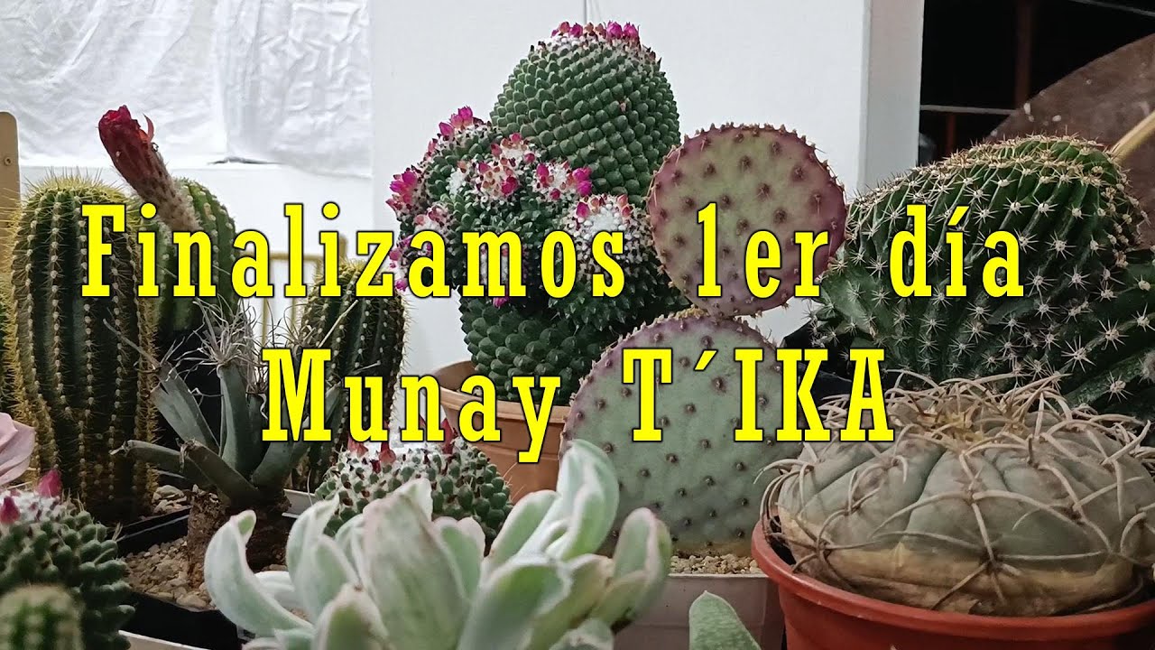 Finalizamos primer día de Munay T´ika primera edición 2026