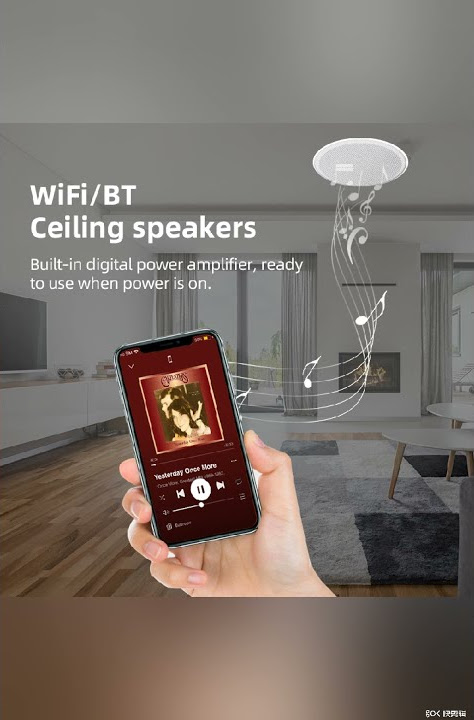 Wifi, Bluetooth, Linkplay ceilling speaker CS 1