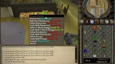 Pwnxile 2012 Theiving Guide + some Staff Commands