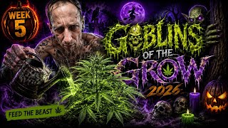 Indoor Grow Competition Week 5 | Goblins of the Grow 2026