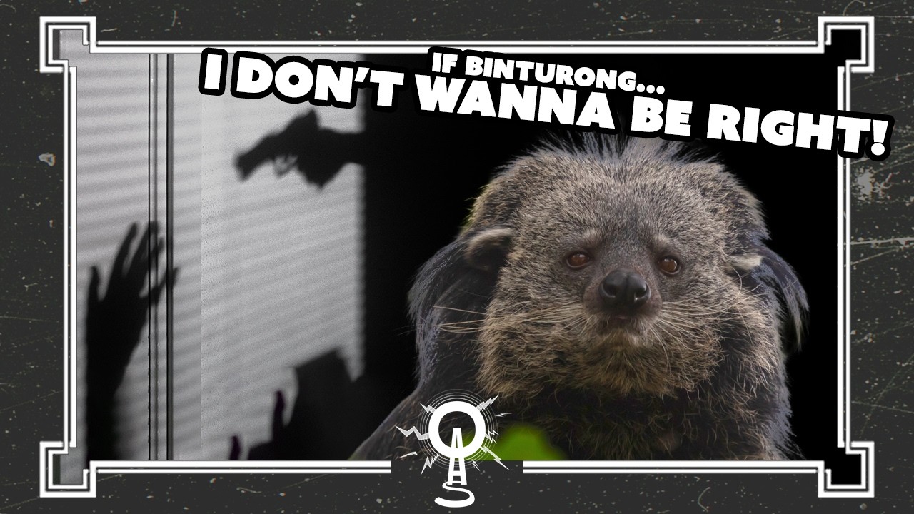 Return to Crab (with Tim Blair)