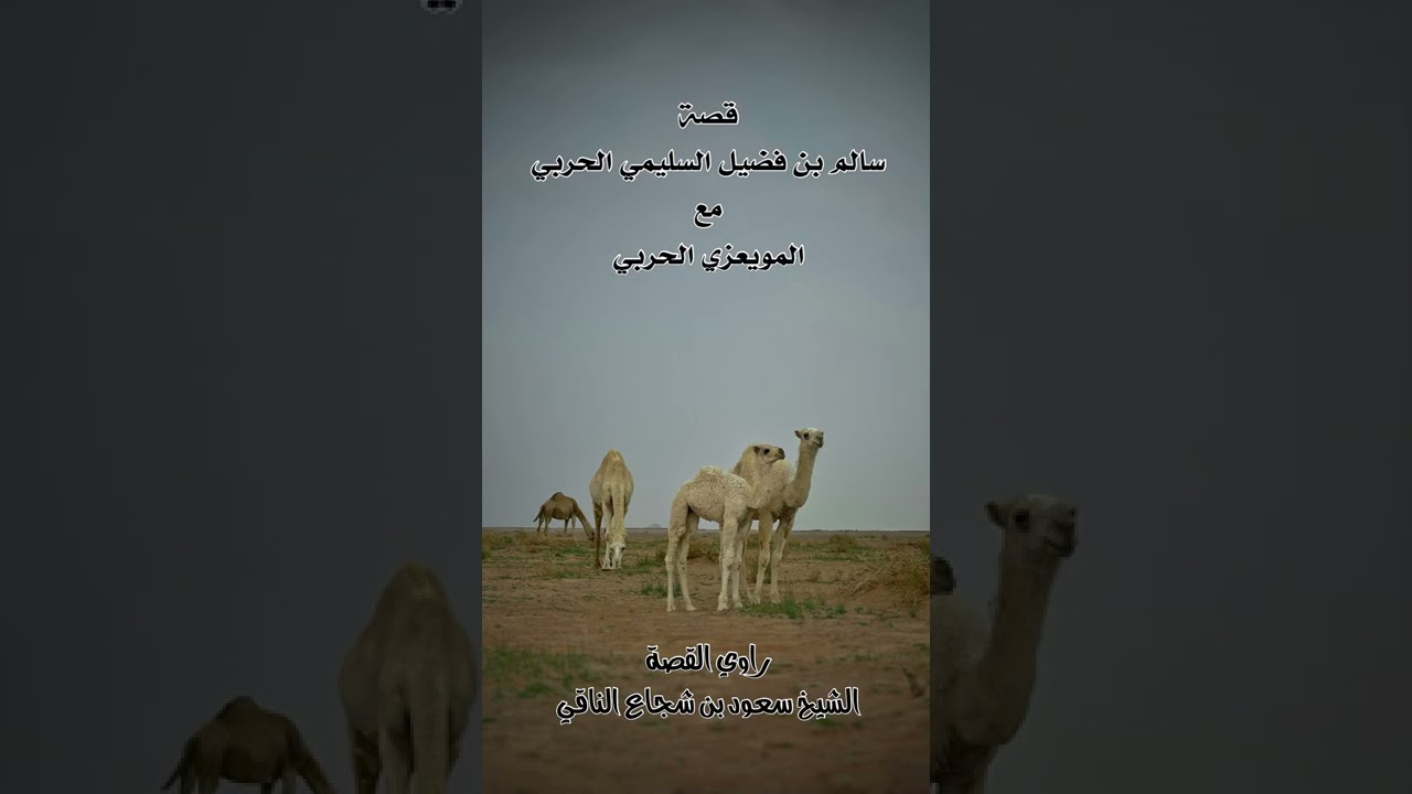 قصة سالم بن فضيل السليمي الحربي مع المويعزي الحربي
