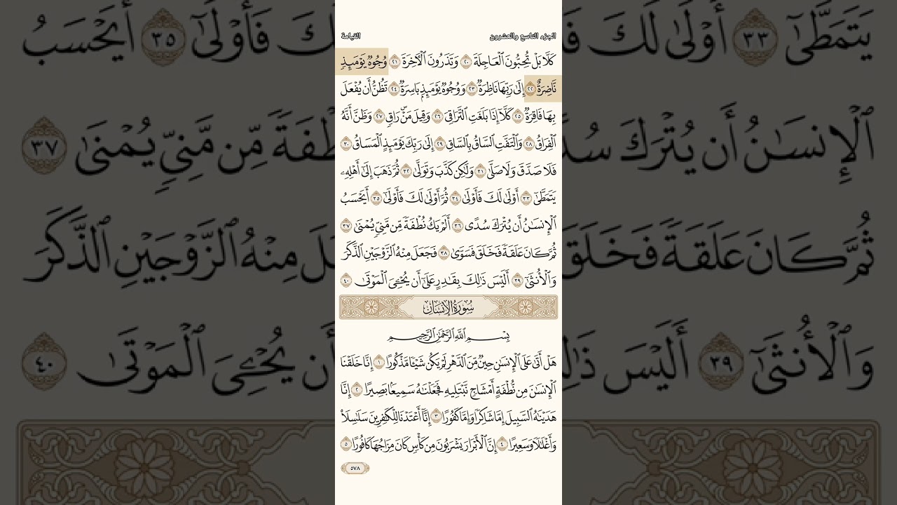 سورة القيامة /إبراهيم الأخضر