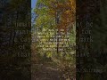 The mark o | Motivational Quotes,motivational status video #shorts #motivation