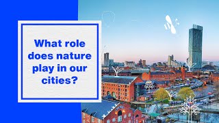 How do we make our cities greener and wilder? | Hubbub Investigates