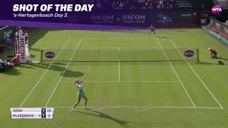 Ricoh Open Day 2 | Shot of the Day | Kristina Mladenovic