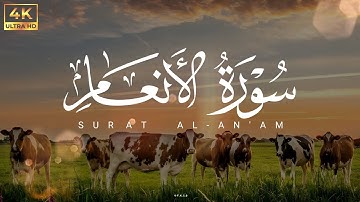 ابراهيم الصعيدي - سورة الأنعام كاملة  - روووووووووعة - اسمع بقلبك ❤️