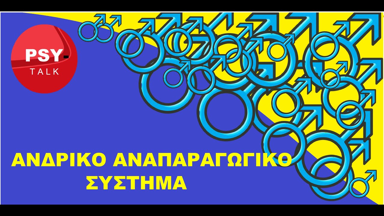 ΑΝΔΡΙΚΟ ΑΝΑΠΑΡΑΓΩΓΙΚΟ ΣΥΣΤΗΜΑ