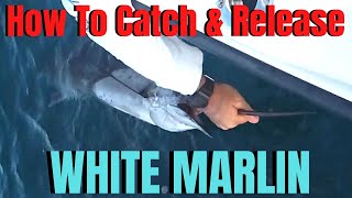 How to CATCH & RELEASE billfish | Deep Sea Fishing WHITE MARLIN