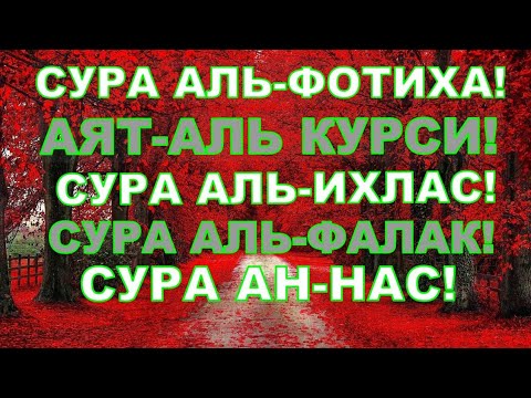 Оятал курси сураси фото