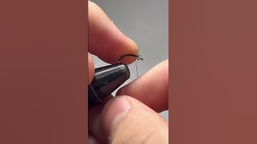 Tying on one of my midges, the top secret midge. #midges #flyfishing #fishing #angler
