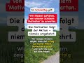 Erziehen wir eine Generation von Versagern? Warum „Lust auf Lernen“ der grösste Mythos ist! #shorts