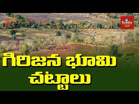 గిరిజనులు తమ భూమి సమస్యలనుండి బయటపడటం ఎలా ? | Land Rights of Tribals | Sunil Kumar | hmtv Agri