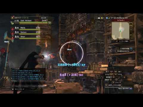 DDON　イミズデット遺跡withポーン