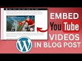 How To Embed YouTube Video In Your Website Post