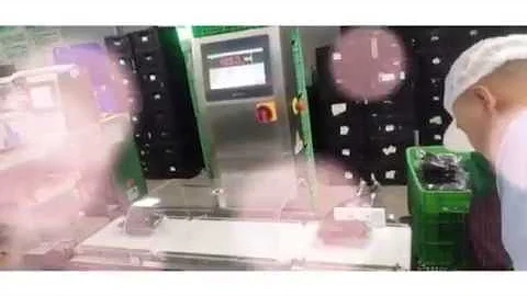 what is checkweigher