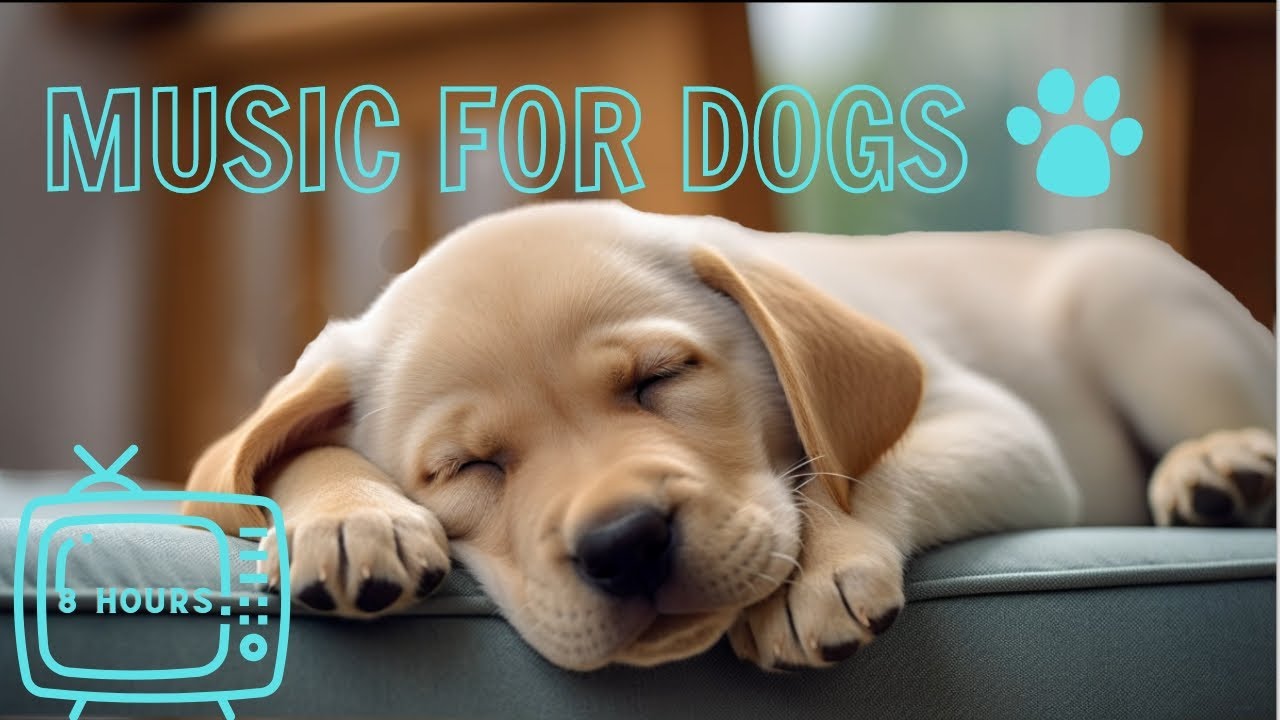 🐶 Dog Sleep Calming Adventure Videos for Fighting Anxiety! Help the