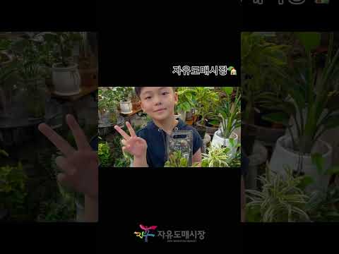 3. 자유도매시장 BEST 숏폼 챌린지를 찾아라 공모 수상작