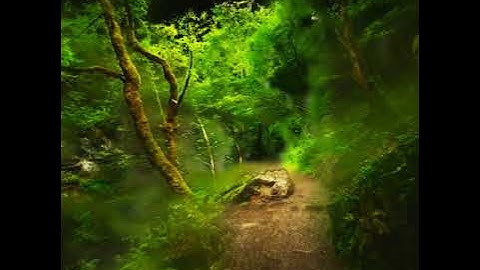 “Explorers of the Austrian Outback” -- #pointcloud #salzburg #austria - 4kp30