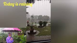 Weather Report By Zozo