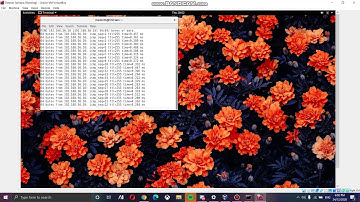 Operating System Project - Connecting Using Static IP Adress Between Server and Client