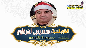 تلاوة خاشعة للشيخ محمد يحيى الشرقاوى ما تيسر من سورة الزمر