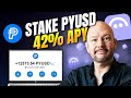PayPal USD Staking on Aave – Send Yourself 42% APY
