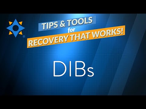 The DIBs Tool
