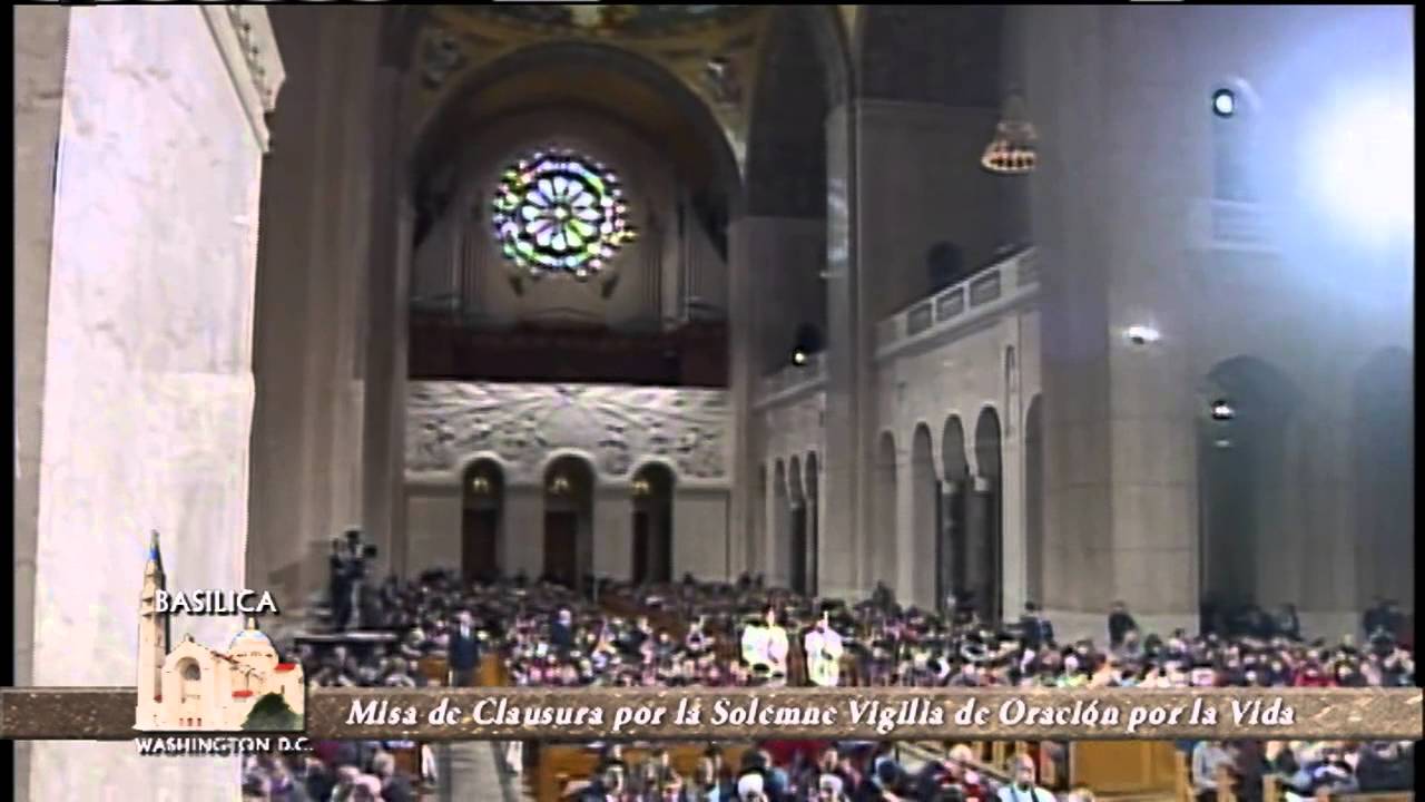 BNSIC - Closing Mass for the Solemn Prayer Vigil for Life - 2014-1-22