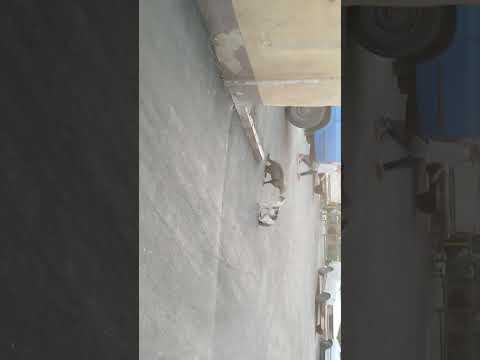 دعوای دوتا گربه تو محله فلاح تهران بخاطر قلمروشون گربه حیوانات لاتی