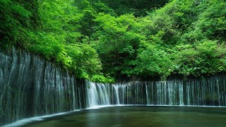 Terapi Otak Suara Alam Full, Relaksasi Tidur, Insomnia, Susah Fokus dan Stress