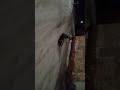 Мотособака выезд