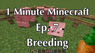 Mob Breeding | 1 Minute Minecraft: Ep. 7 @Matt17L