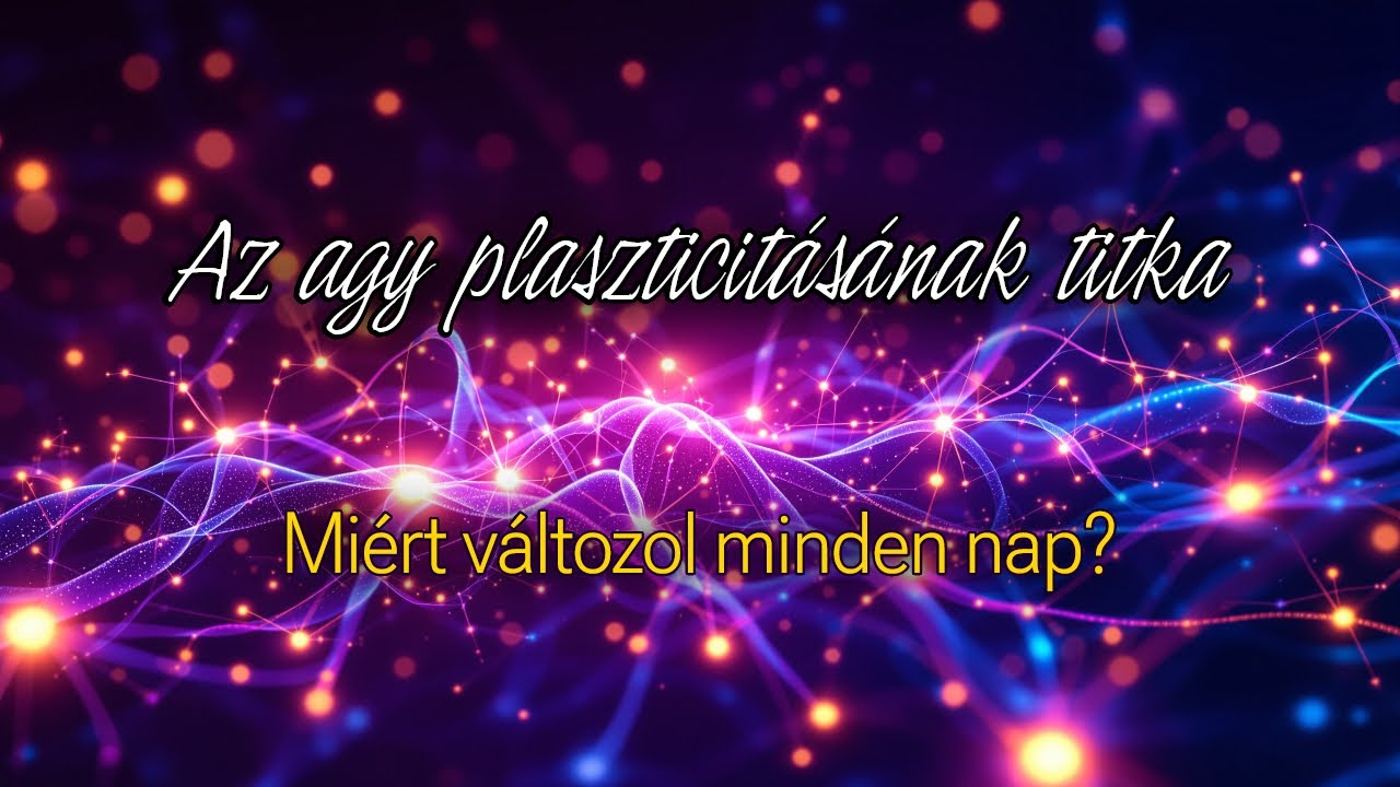 Az agy plaszticitásának titka. Miért változol minden nap?