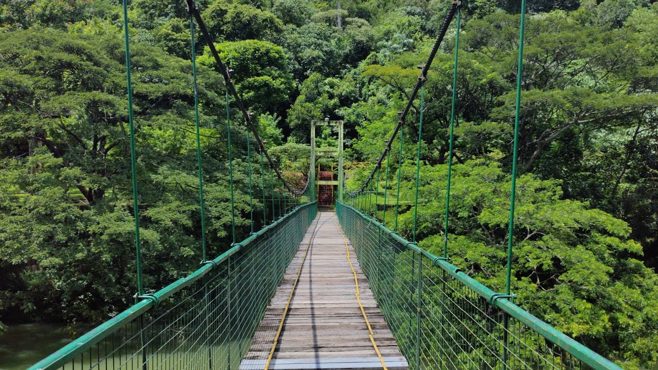Thenmala Hanging Bridge - Kollam District, Kerala, India
