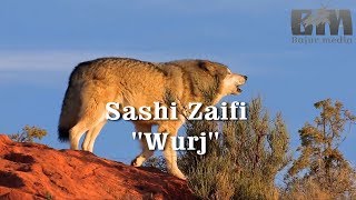 Sashi Zaifi  \