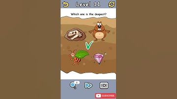 Brain Crack Level 11 Which one is the deepest Walkthrough