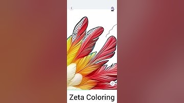 Digital Mandala Coloring video | Zeta Coloring pages | Colouring by numbers video 