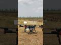 Сельскохозяйственная выставка «Золотая Нива» #shortvideo  #shortsvideo