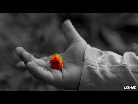 حب سفاح راب عربي